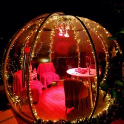 igloo2025