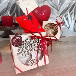 buono-regalo-toga-spa-vacri2